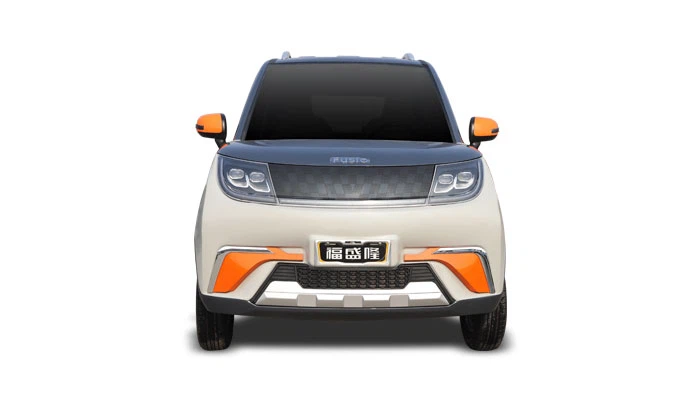 New Energy Low-Speed Vehicles